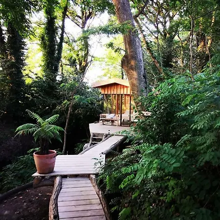 Coco Barn Wood * Angresse